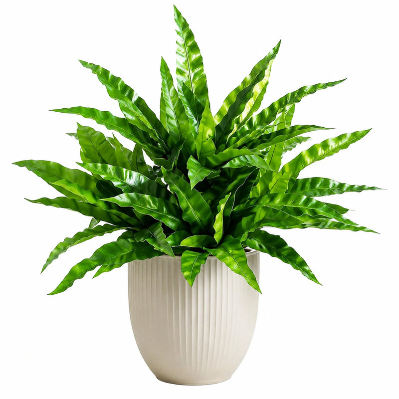 Plante artificielle