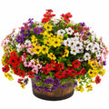Plante Artificielle Fleur Multicolore avec Pot Imitation Bois, 40 cm